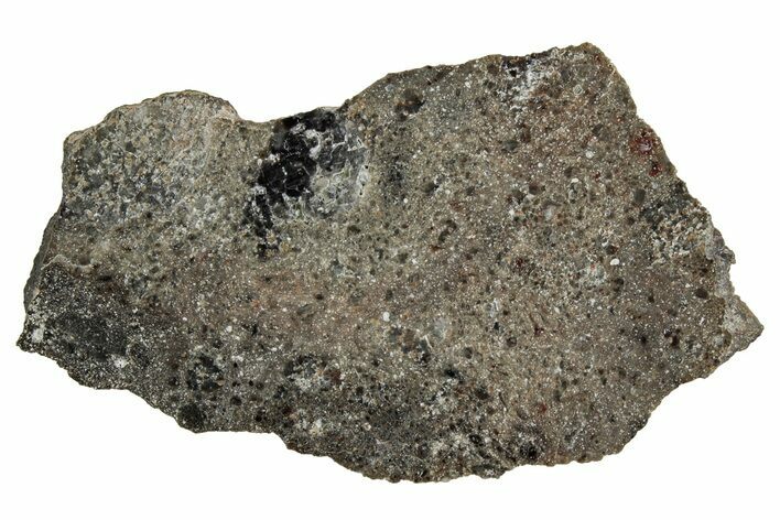 Polished Lunar Meteorite ( g) Slice - Ash Shaqqah #356000